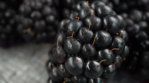 Close-up of Fresh Blackberries