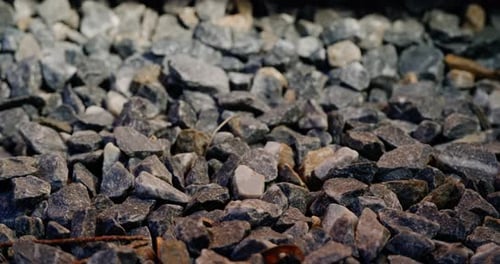 close up from the side of a gravel road with some maple seeds between the stones (camera moving from