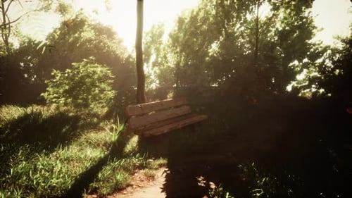 Bench Made of Logs on Background of Clearings and Deciduous Forest