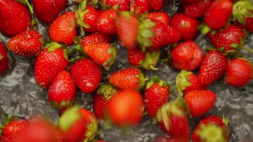 Fresh Strawberries Falling onto a Wet Surface