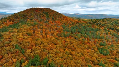 Flying closer to the mountain top covered with amazing colorful forests.