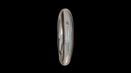 House Icon 3D Animation Chrome Circle