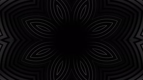 Schwarz-Weiß-Foto einer Blume mit schwarzem Hintergrund. Kaleidoskop VJ Loop
