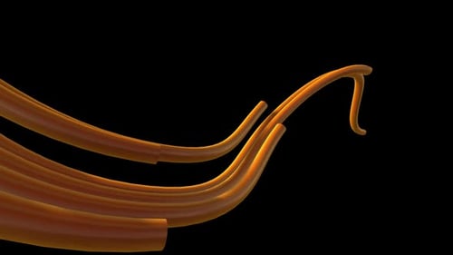 Dynamic Golden Fluid Lines Reveal Animation