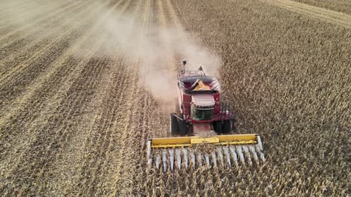 Aerial reverse flyover captures a combine harvester in action, cutting through rows of corn, leaving
