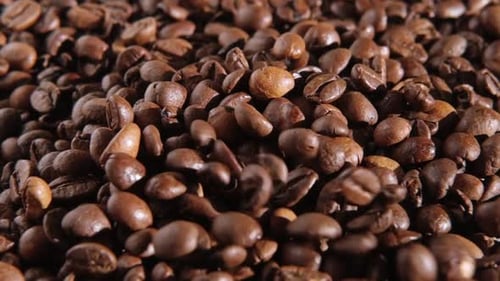 Coffee Beans Background Falling of Coffee Beans Close Up Dark Brown Roasted Coffee is Spinning