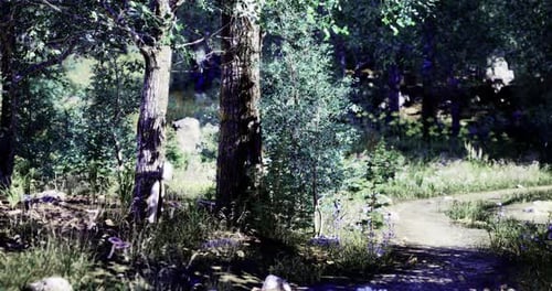 Vibrant Forest Path Surrounded By Lush Greenery on a Sunny Day