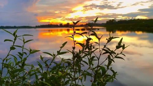 The beautiful sunset over the calm waters of the lake makes for a perfect view