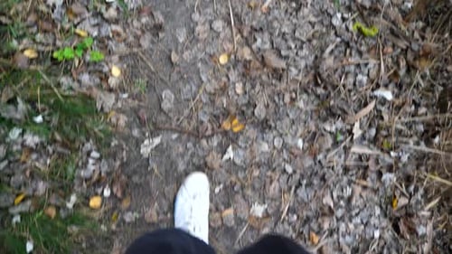 Point of View to Male Feet in Sneakers Stepping Along Path Outdoor Legs of Young Man Going Along