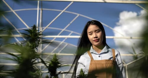Young woman smile while touching on green leaves of cannabis