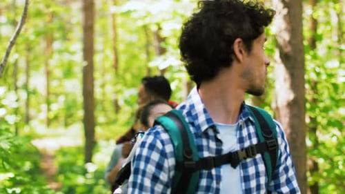 Group of Friends Hiking Together Through Green Forest