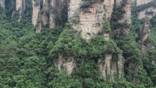Slow Aerial Rise Above The Scenic Forests Of Avatar's Heavenly Pillars "Hallelujah Mountain" In Zhan