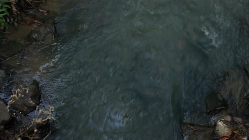 the beauty of the river in nature