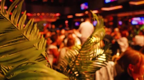 Crowded Bar with Tropical Decor and Live Music