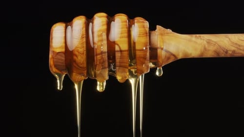 Golden Honey Dripping from Wooden Honey Dipper