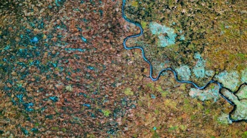 Coastal waterways Sea. colourful shore estuary. bright coloured. Aerial static view from top down.