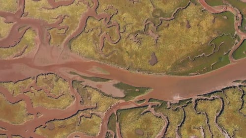 Aerial view of River Tyne through wetlands, United Kingdom.