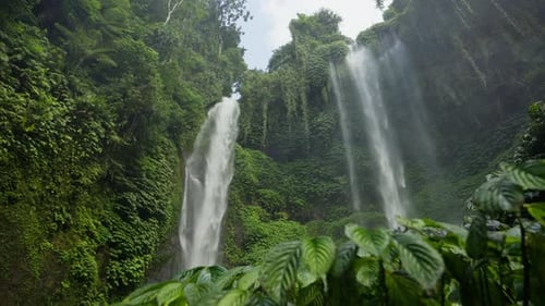 Tropical Waterfall Cascades Through Green Foliage