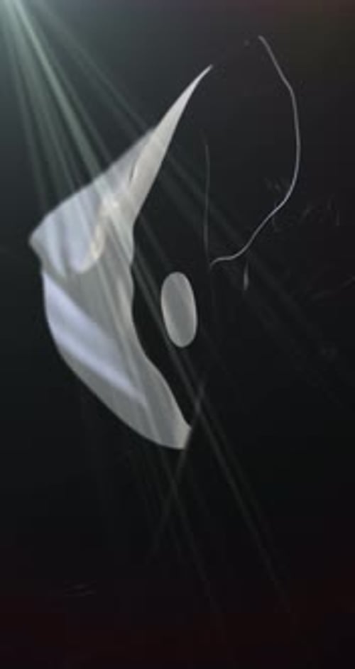 Drapeau Yin Yang