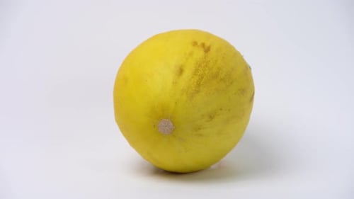 Gelbe Melone auf weißem Hintergrund. Nahaufnahme und statische Aufnahme