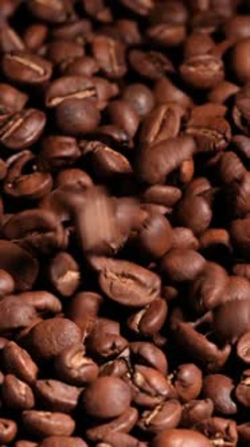 Vertical slow motion of roasted coffee beans falling. Organic coffee seeds.