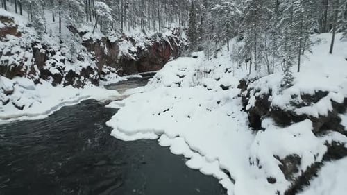 Aerial View Of Powerful River Among Snowy Coniferous Forests