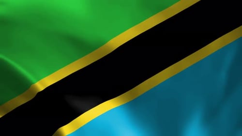 Realistic Waving Tanzania Flag Loop Animation