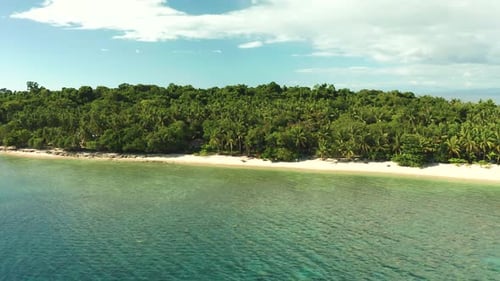 Tropical island with sandy beach, palm trees and clear blue water.