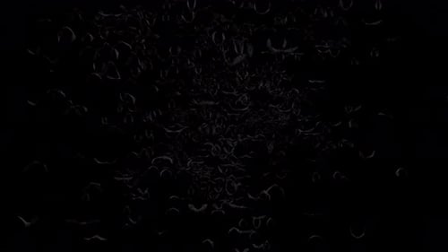 Spooky Swarm of Bats Flying for Halloween