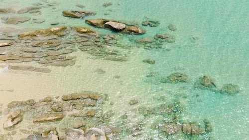 Aerial View of Tropical Beach
