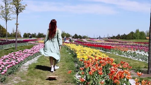 A young girl in a straw hat running through a tulip field in slow motion