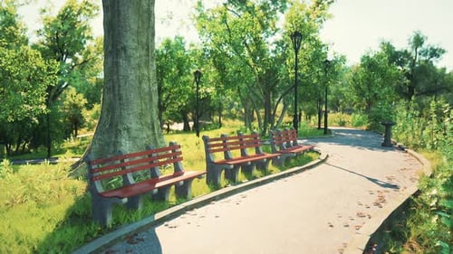 Sunny Park Path with Benches Under Trees in a Green Urban Area