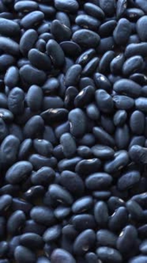 Vertical Video of Black Beans Background