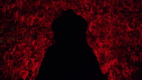 Silhouetted Figure With a Dark Shape Against Red