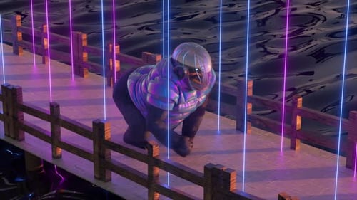 Gorilla Runs Along a Stone Bridge