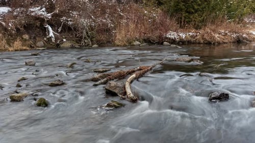 Timelapse of river water rushing over rocks and branches in winter