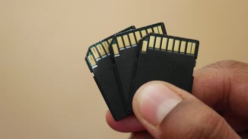 Hand Hold SD Memory Card