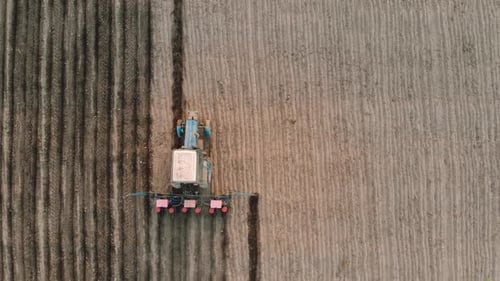 Top Aerial View on Farmer in Tractor with Seeder Sowing Crops on Agricultural Field