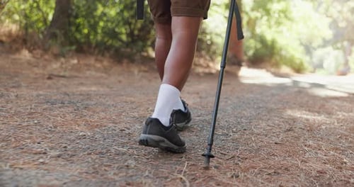 Legs, hiking stick and trekking in forest for adventure in nature for walking journey