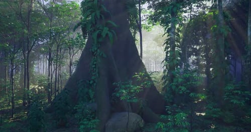 Sunlight Filters Through Dense Foliage in a Serene Forest Environment