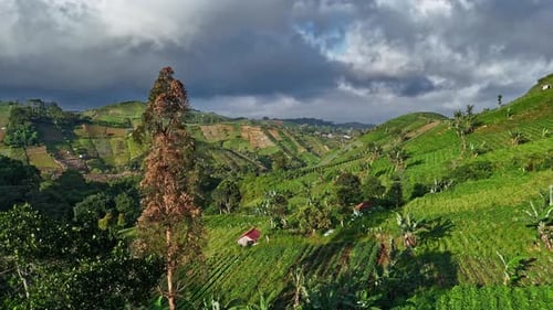 Aerial View of Green Terraced Hills and Vegetable Farms stormy weather in the hills