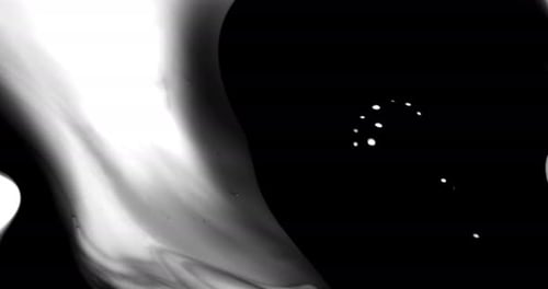 Abstract Black and White Ink Spreading Fluidly