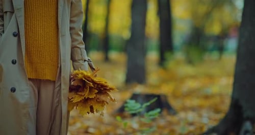 Einsame Frau spaziert am Herbsttag im Park Strauß abgefallener Blätter in der Hand Prores