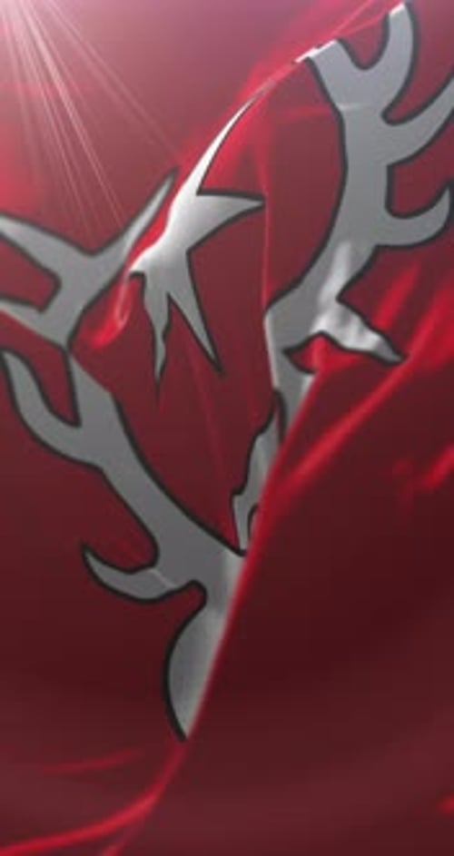 Flag of Sarnen
