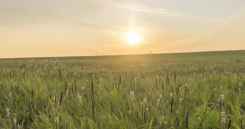Hill Meadow Timelapse at the Summer or Autumn Time
