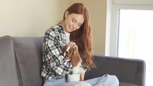 Woman Cuddling and Petting Cavalier King Charles Spaniel Dog