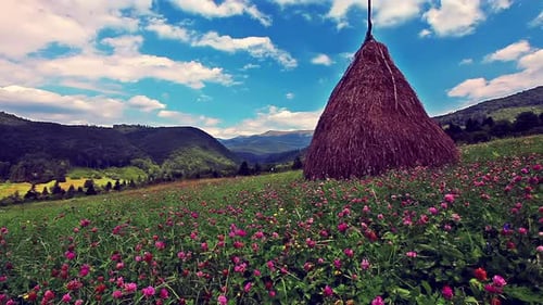 summer mountain landscape slow motion
