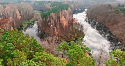 Autumn forest by small river in Poland, Europe.