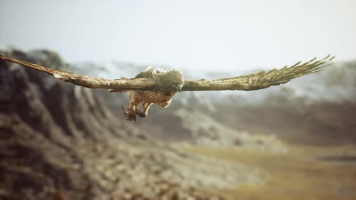 Majestic Eagle Soaring Over a Mountainous Landscape