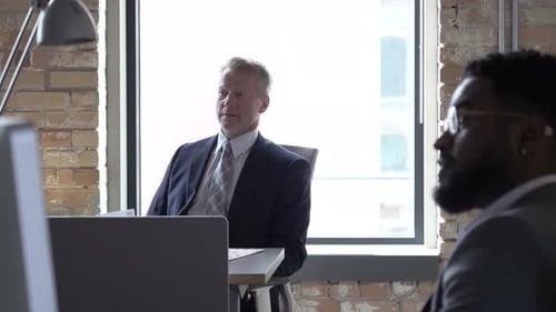 Video of Businessmen Talking in Office Adult